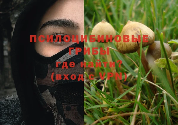 прущий лед Заводоуковск