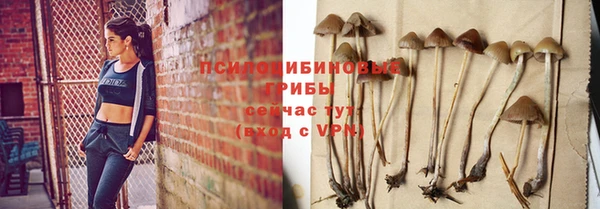 прущий лед Заводоуковск